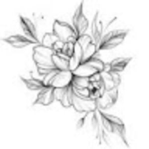 Meet your Posher, Alaina